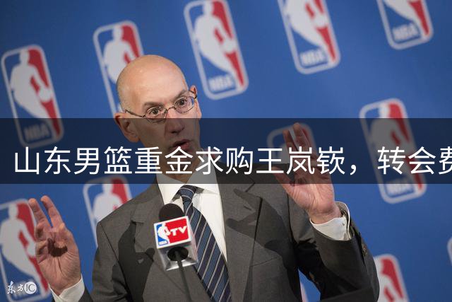 山东男篮重金求购王岚嵚，转会费3000万或成新赛季最大手笔